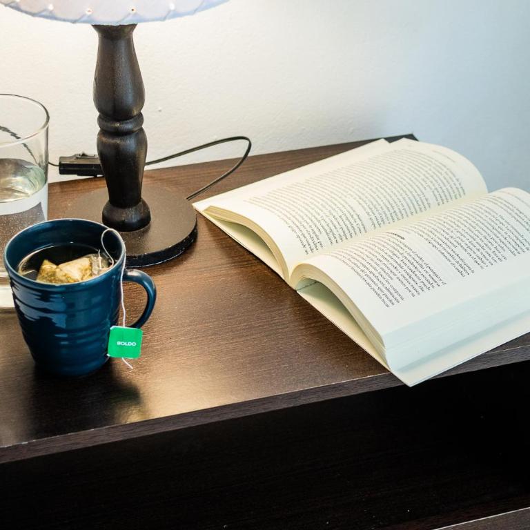 Casa tipo Estudio de concepto abierto, Centrica, Parrilla, Cochera Privada y Portón Eléctrico - Apartamento de 1 dormitorio - 15