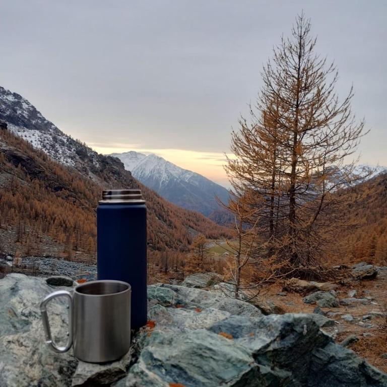 Casa Indipendente Val d'Ayas - Challand Saint Anselme - Casa con 2 Camere da Letto - 27