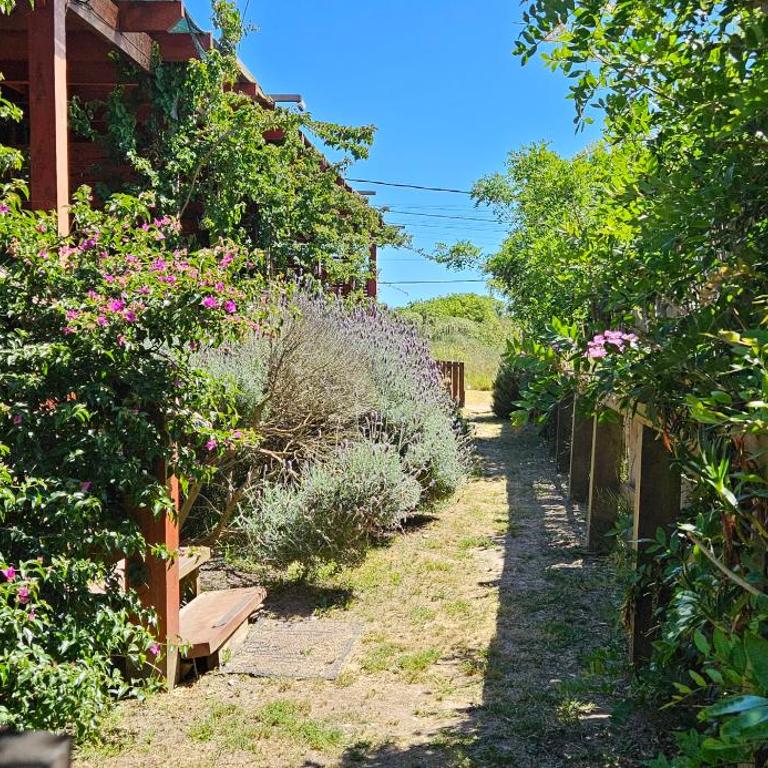 Posada Las Maravillas - Suite con cama extragrande - 3