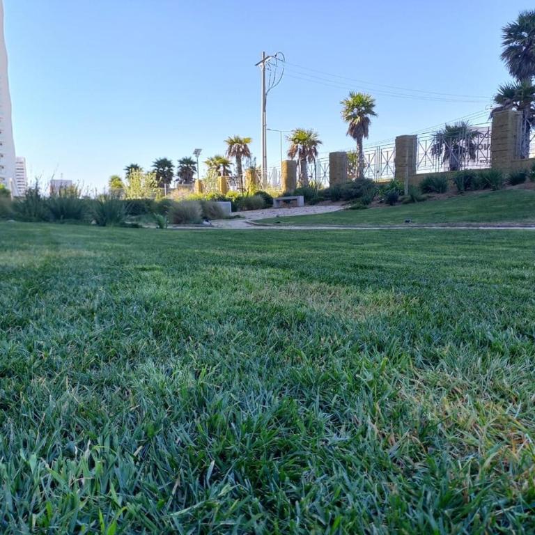 Departamento con vista a las Dunas y playa - One-Bedroom Apartment - 9