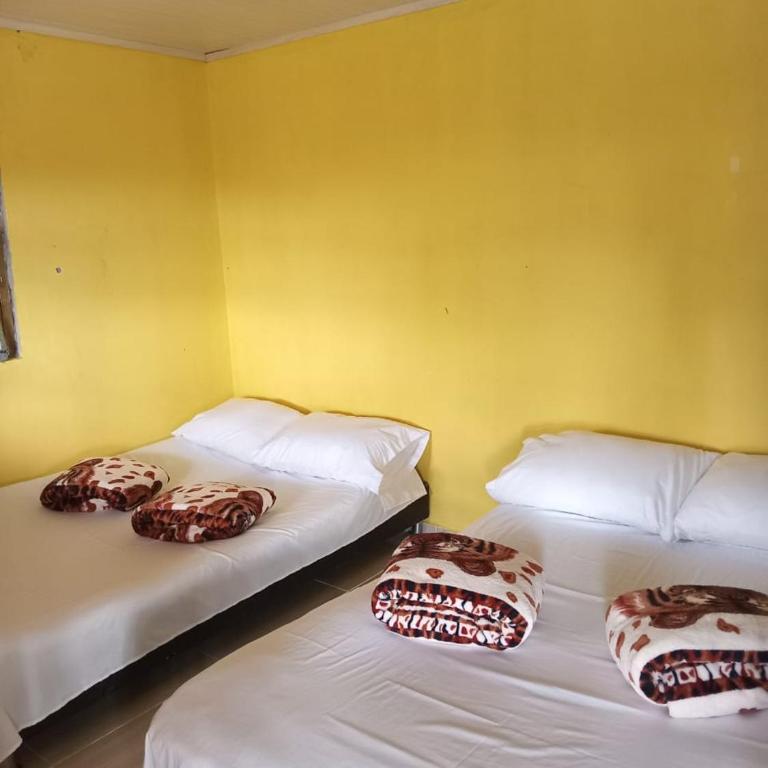 hostal rural Alejandría - Habitación Cuádruple con baño compartido - 2