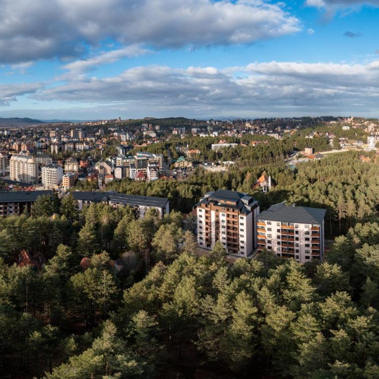 Mount Inn Borovi - Deluxe One-Bedroom Apartment - 5