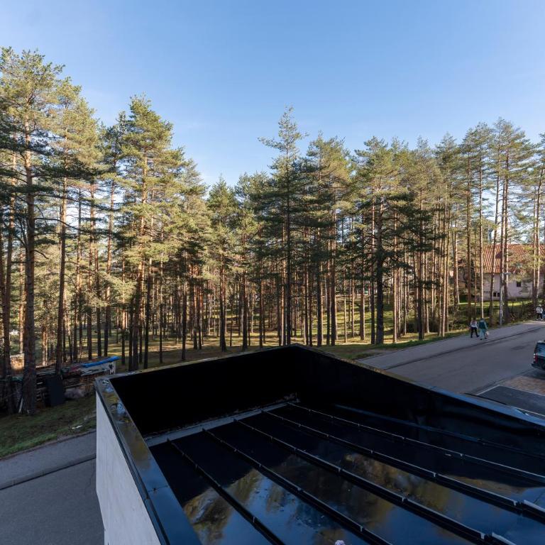 Mount Inn Borovi - Deluxe One-Bedroom Apartment - 11