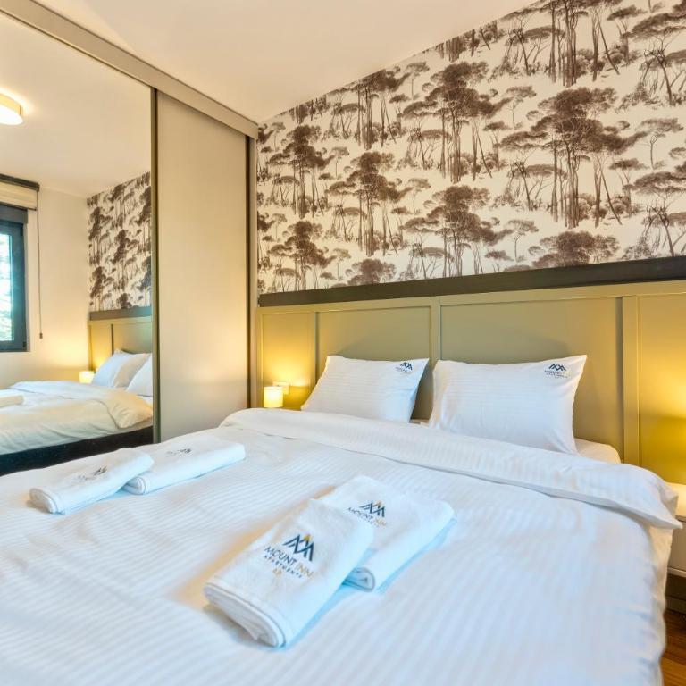Mount Inn Borovi - Deluxe One-Bedroom Apartment - 13