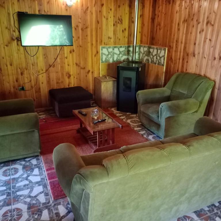 Cabaña familiar para 6 pax en pucon - Three-Bedroom Apartment - 9