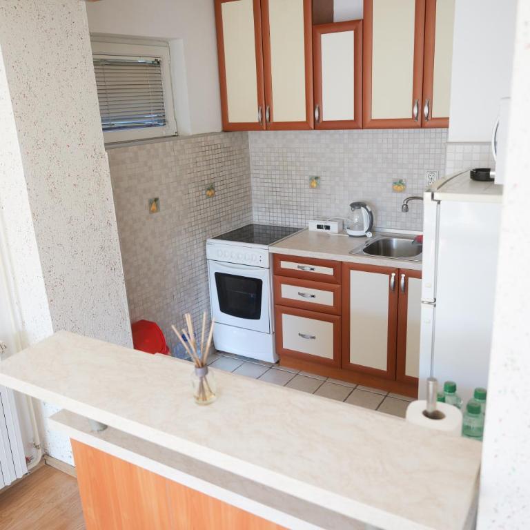 Apartman Vion - City View - One-Bedroom Apartment - 2