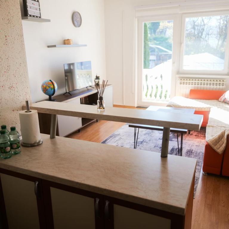 Apartman Vion - City View - One-Bedroom Apartment - 6