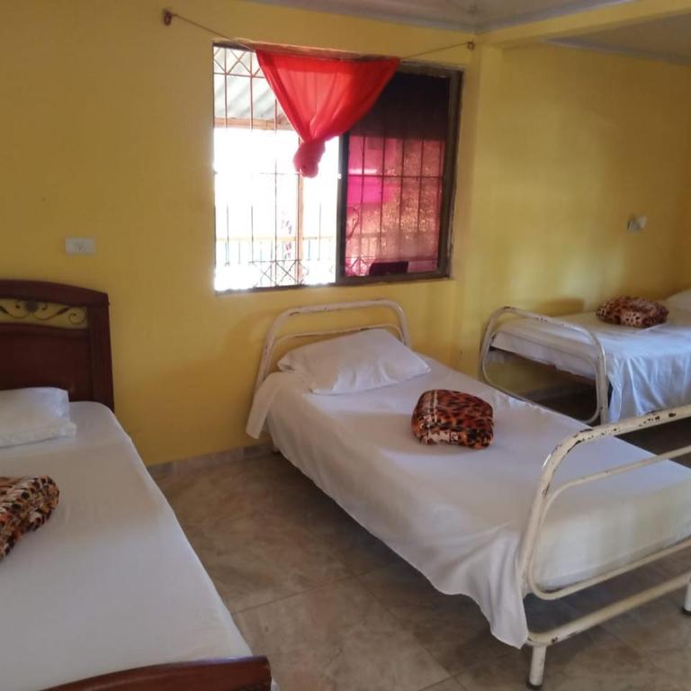 hostal rural Alejandría - Habitación Individual con baño - 4