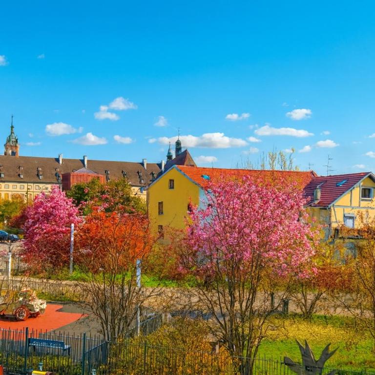La Cotonnière Colmar Downtown - Appartement 3 Chambres Premium - 33