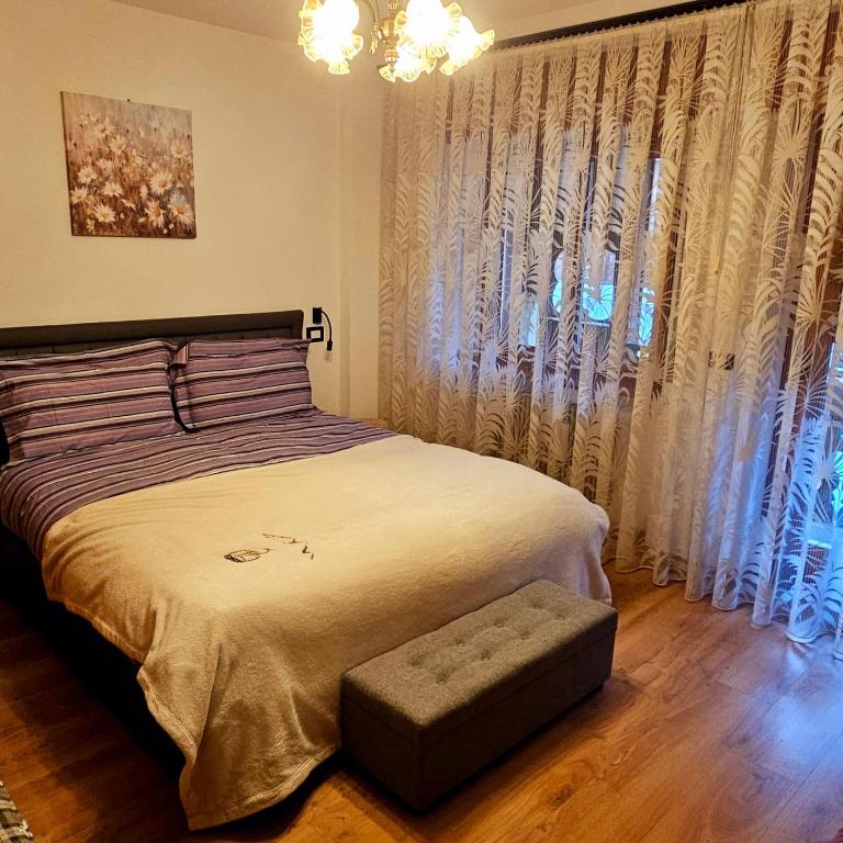 Cesira - Appartamento con 1 Camera da Letto - 5