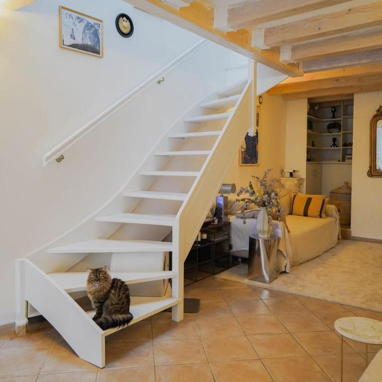 Malmousque City House with Patio & Cat - Casa Vacanze - 6