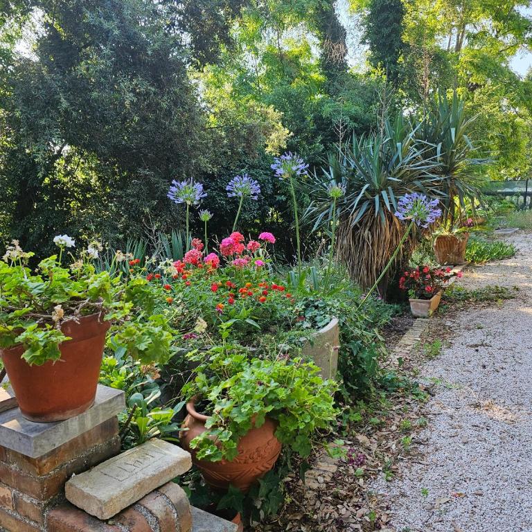 Villa Carla - vicino alla Riviera del Conero e ai Colli dell' Infinito - One-Bedroom Apartment with Garden View - 19