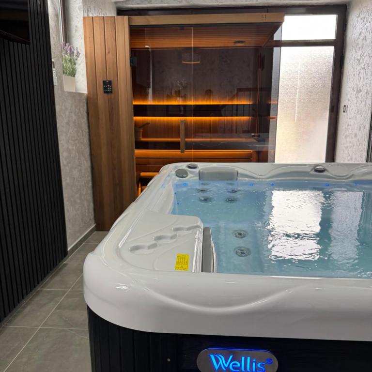 Ilic House - Apartman sa Saunom - 15