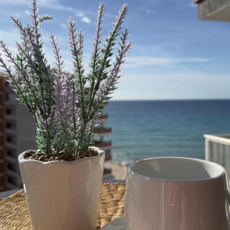 Atlantico Flamingo - One-Bedroom Apartment - 1