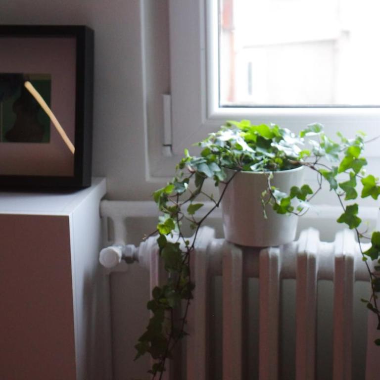 Center Luxury Studio Knez Mihailova & Kalemegdan - Two-Bedroom Apartment - 18