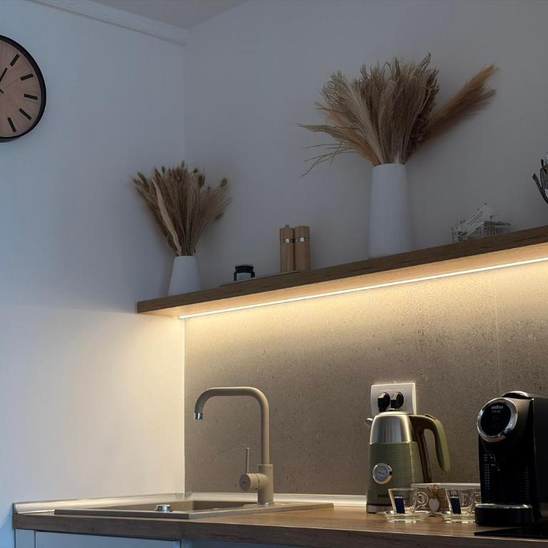 Studio apartman Adria downtown - Apartman sa 1 Spavaćom Sobom - 9