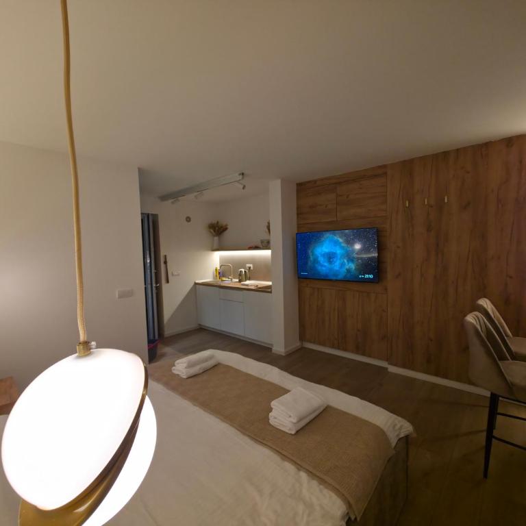 Studio apartman Adria downtown - Apartman sa 1 Spavaćom Sobom - 7