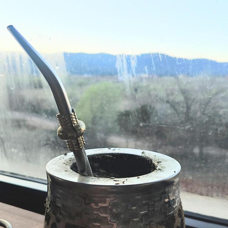 Lodekarol Cabaña - Chalet de 1 dormitorio - 1