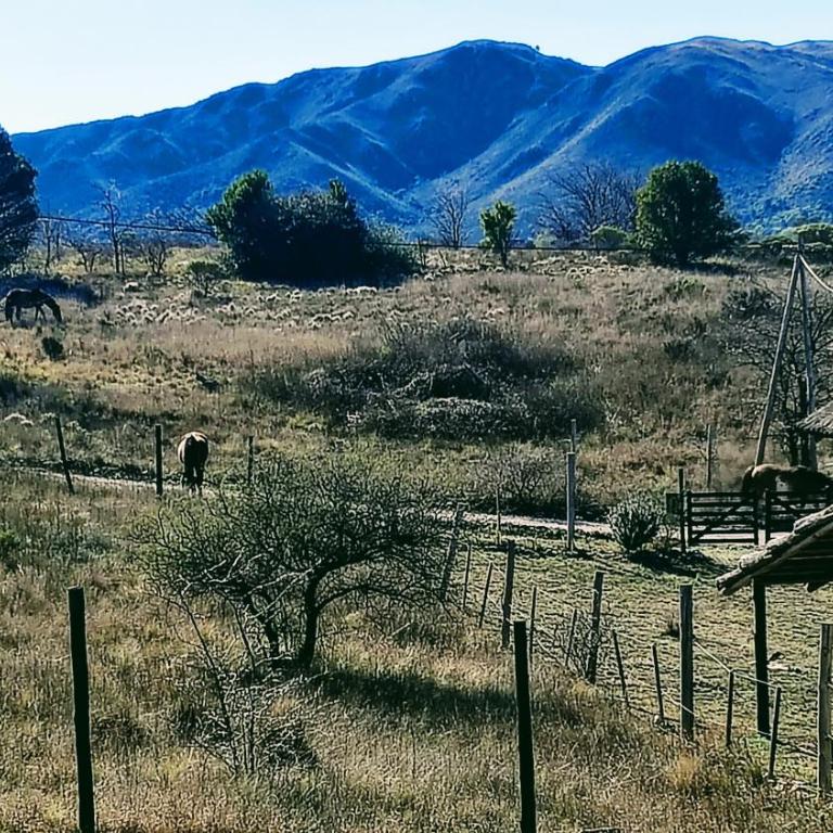 Lodekarol Cabaña - Chalet de 1 dormitorio - 2