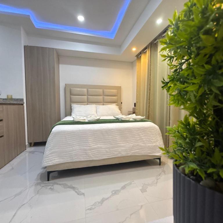 Caribbean Dream Suite 08 - One-Bedroom Apartment - 3