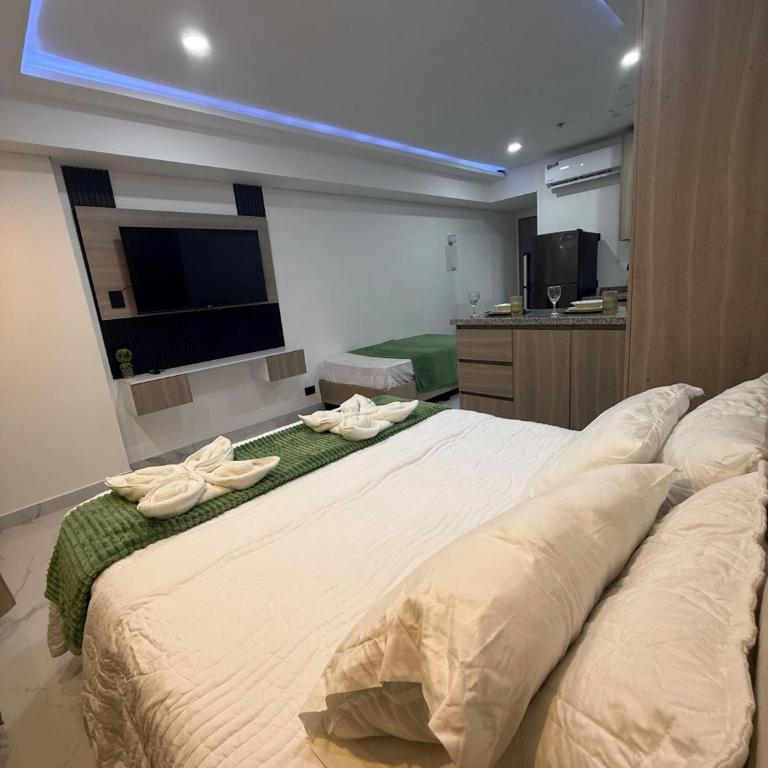 Caribbean Dream Suite 08 - One-Bedroom Apartment - 1