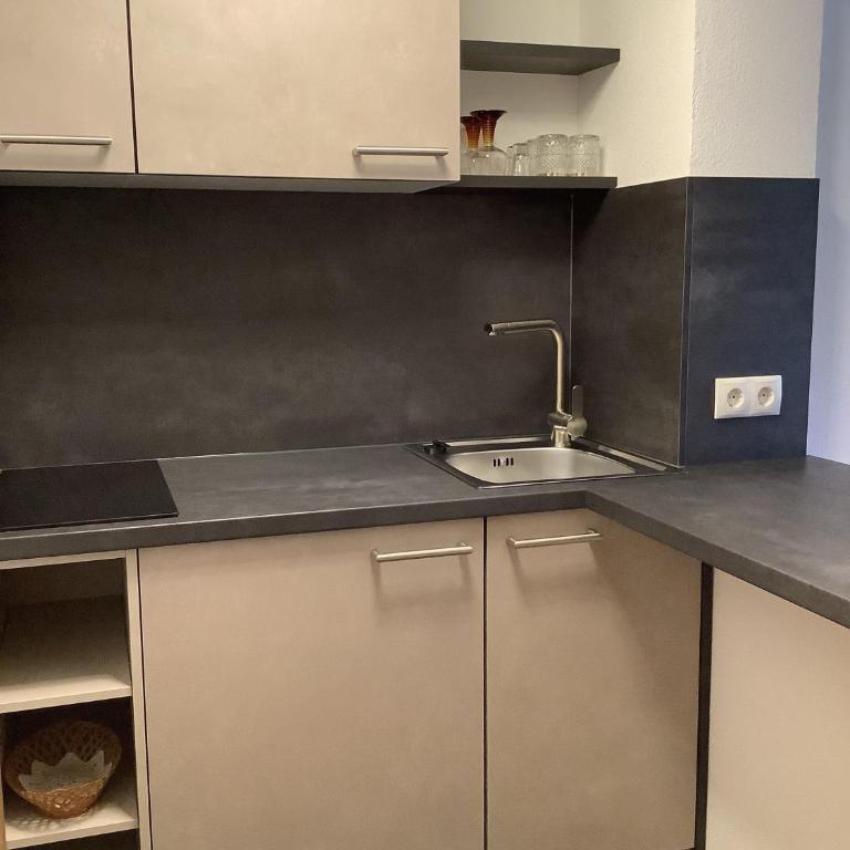 ban Kneissl`s - Apartment 5 mit 1 Schlafzimmer - 6