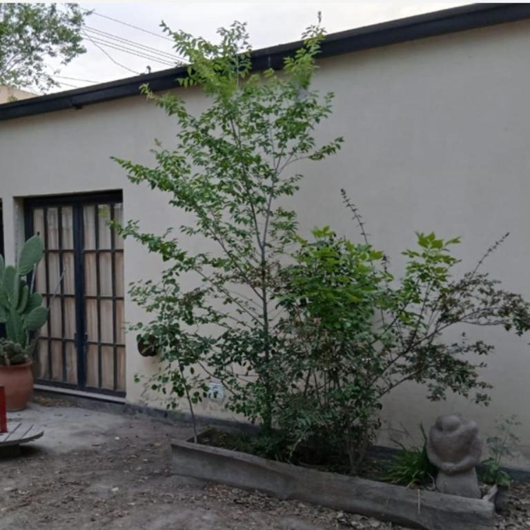 Viedma departamentos con cochera - Apartamento de 1 dormitorio - 2