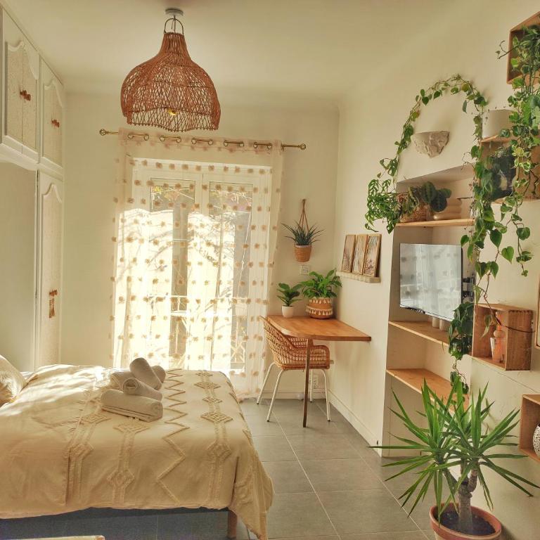 Studio Jungle Bohème - à 3 min de la Promenade des anglais à pieds - Studio - 23