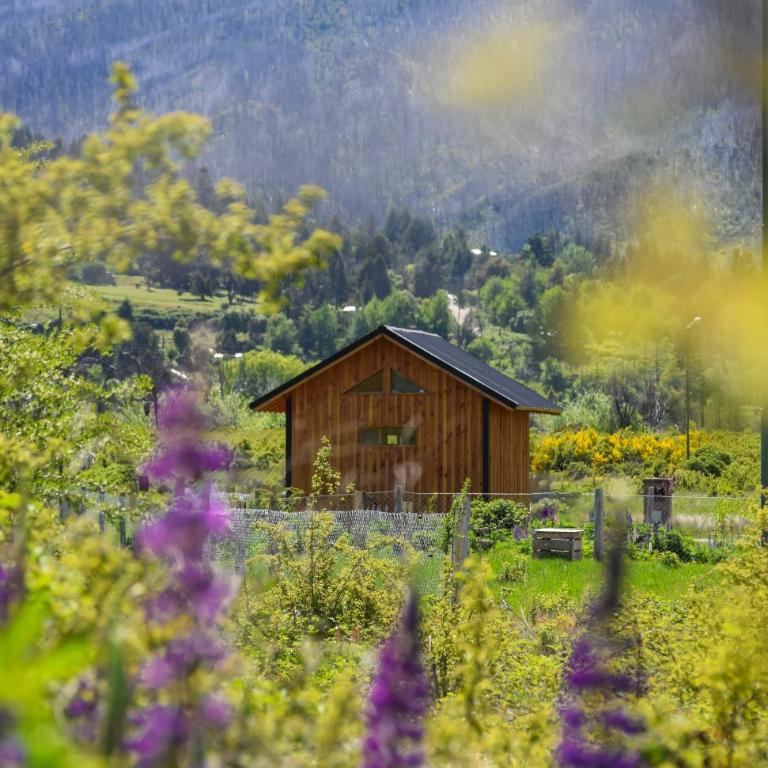 Cabañas Altramuz - Chalet de 1 dormitorio - 2