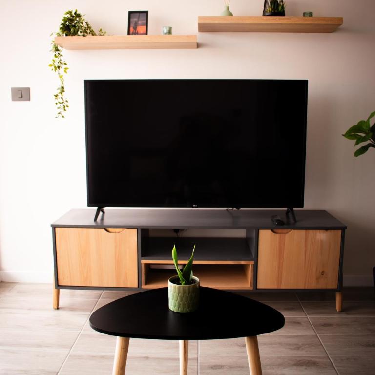 Moderno y acogedor departamento Sector Norte - Apartamento de 1 dormitorio - 3