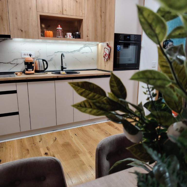 Apartman NIT Zlatibor - One-Bedroom Apartment - 11