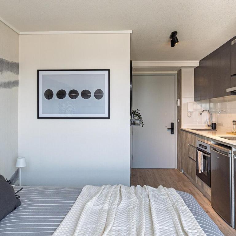 Depto estudio Santiago, centro - One-Bedroom Apartment - 3