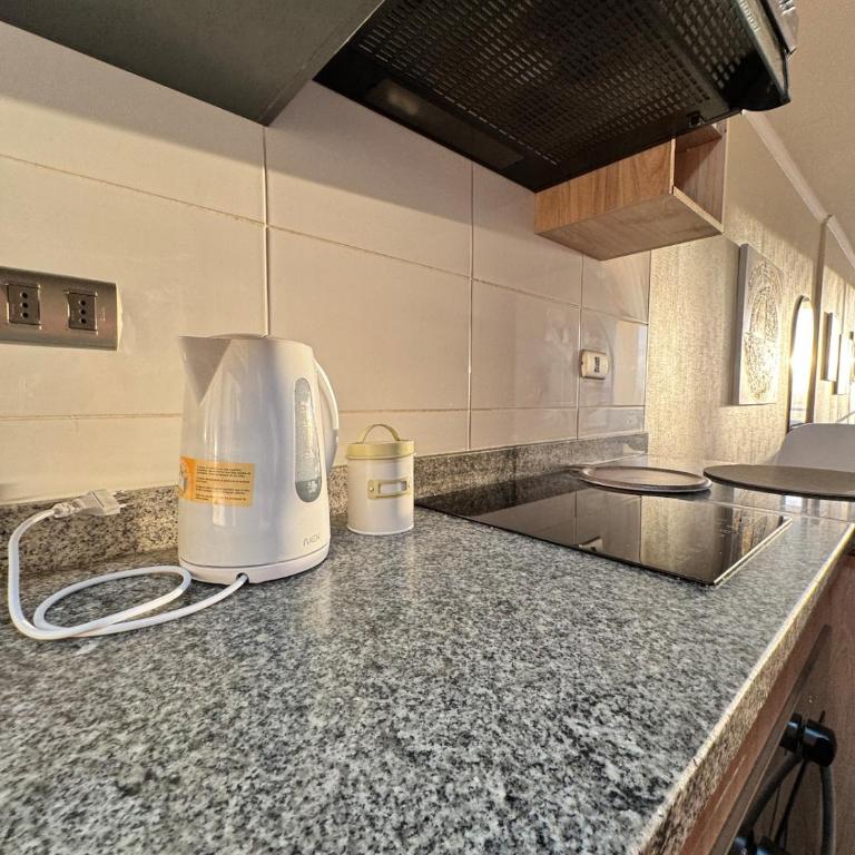 Apartamento Concepción Full Equipado Silencioso - Two-Bedroom Apartment with Balcony - 10
