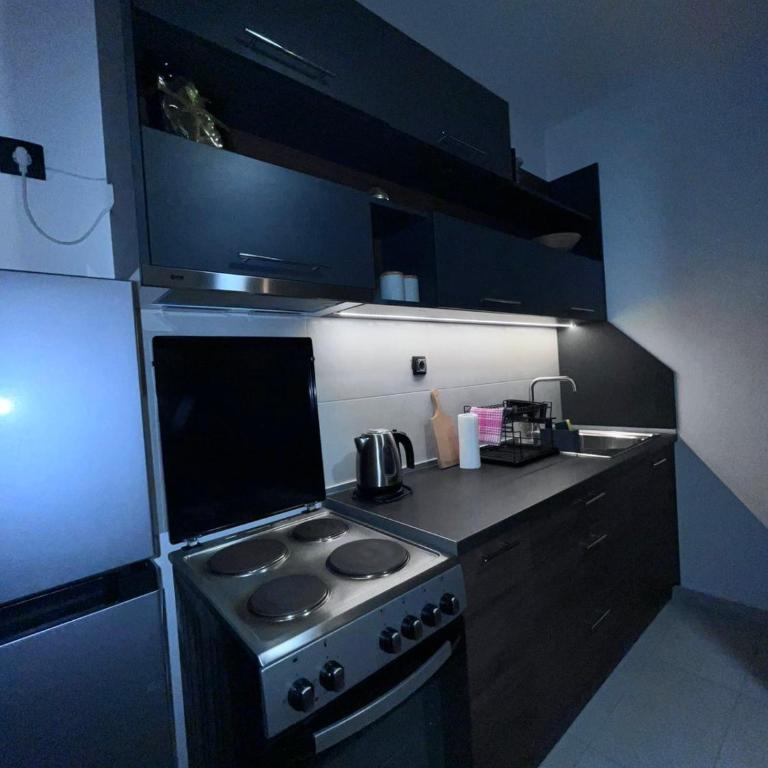 Apartman Novak Sokobanja - One-Bedroom Apartment - 11