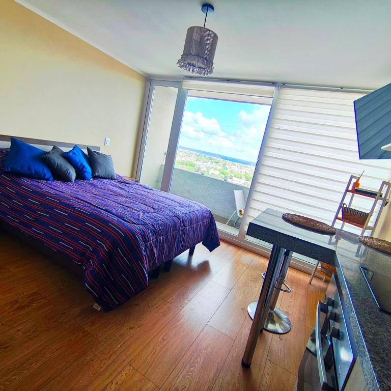 Departamento estudio centro de chillan - One-Bedroom Apartment - 1