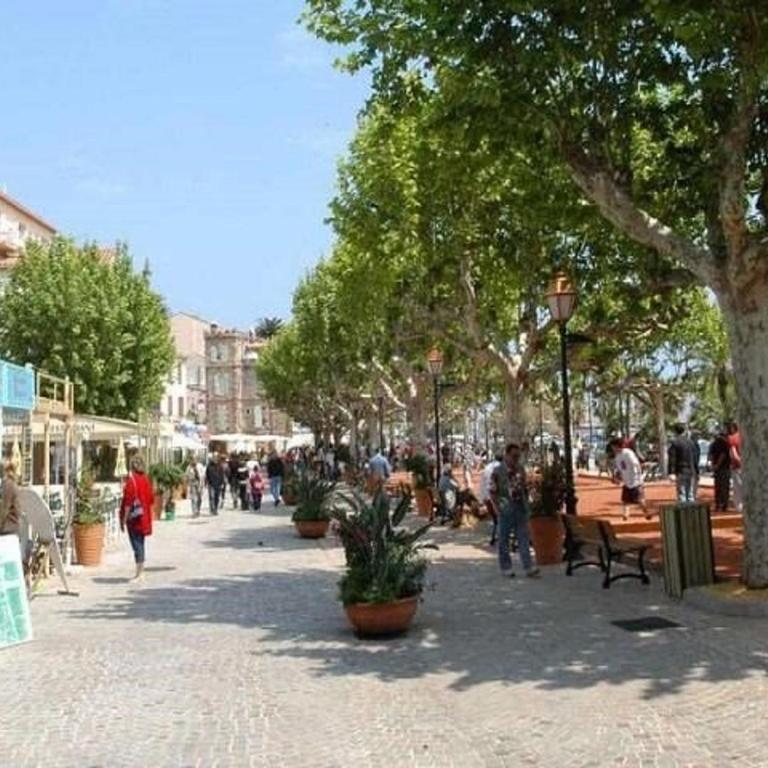 Appartement T2 avec terrasse au centre du Lavandou - FR-1-251-882 - Apartment - 12