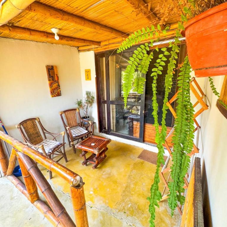 Villa Naylamp Loft 1 playa Pocitas - One-Bedroom Apartment with Sea View and Terrace - 6