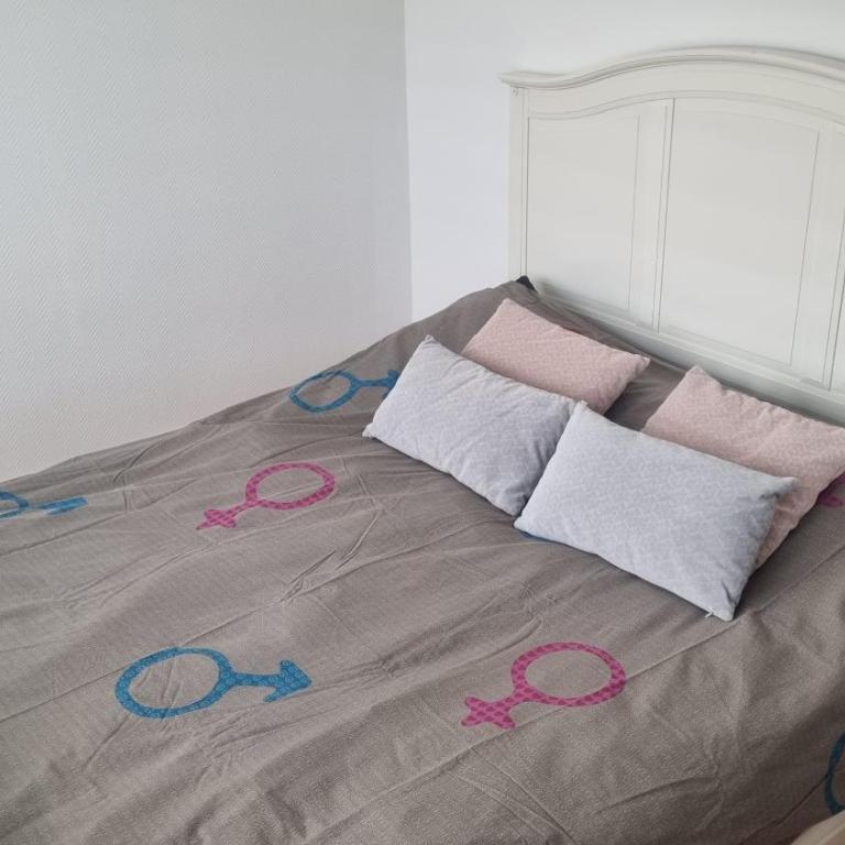 Maisonnette avec jardin Reims centre - One-Bedroom Apartment - 7
