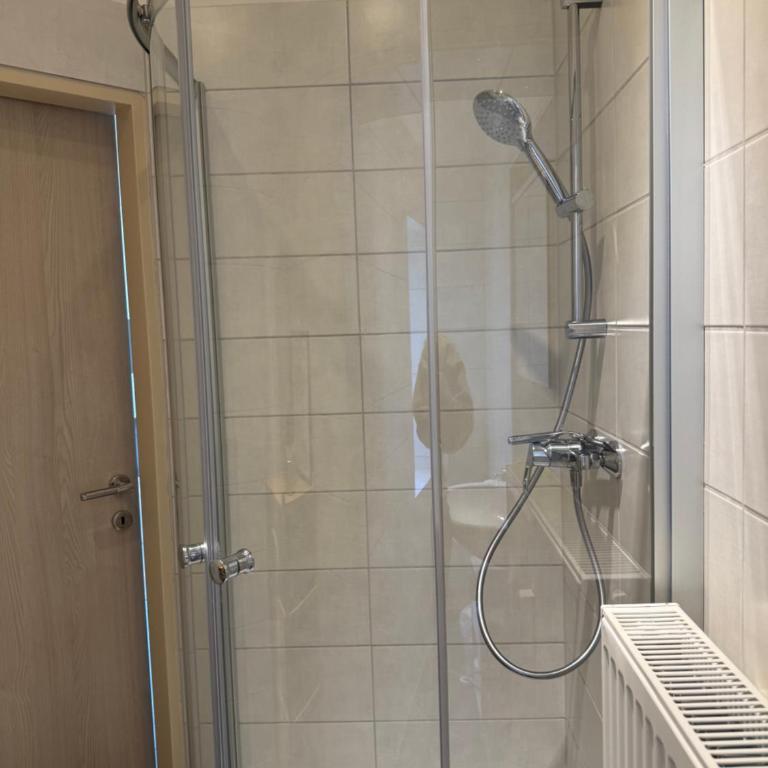 schönes Apartment in Zentrumsnähe - Apartment mit 1 Schlafzimmer - 8