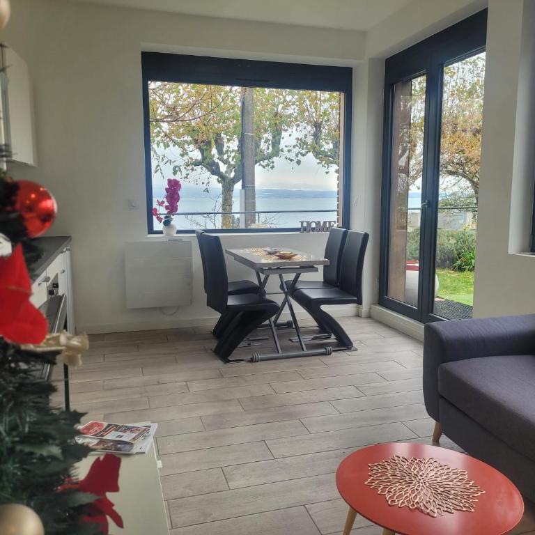 Appartement Cozy 1 Panoramique Lac Léman Thonon-Les-Bains - Appartement - 2