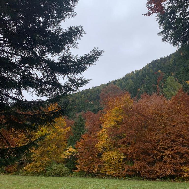 Gîtes les COMBES - Appartement 1 Chambre - 28
