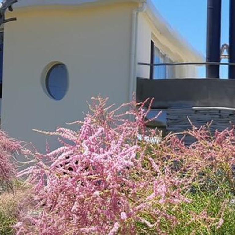 Pura Calma - Three-Bedroom Vacation Home - 43