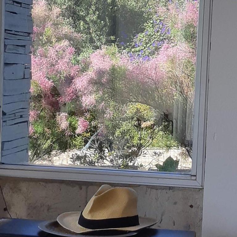 Pura Calma - Three-Bedroom Vacation Home - 13