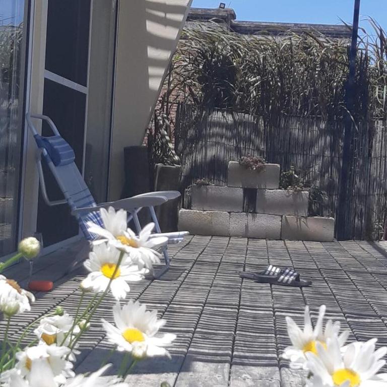 Pura Calma - Three-Bedroom Vacation Home - 11