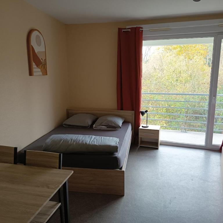 Grand Studio 4 couchages proche Université et CHU - Apartment mit 1 Schlafzimmer - 7