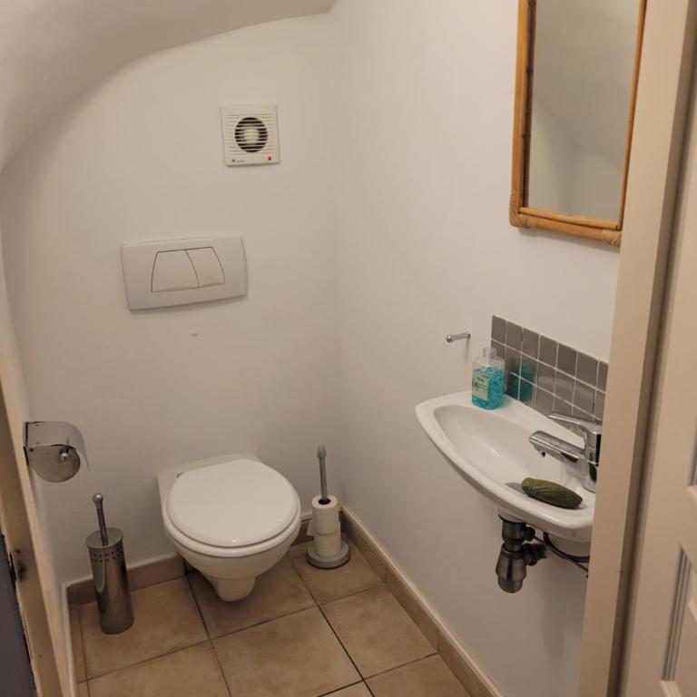 L'eau des Oliviers - Four-Bedroom House - 32