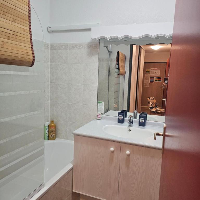 Location aux Sybelles pieds des pistes à Saint-Sorlin-d'Arves - Appartement 1 Chambre - 11