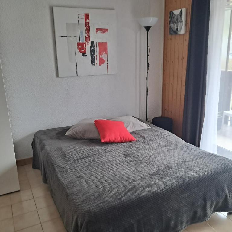 Studio cosy au pied des pistes - Appartement 1 Chambre - 7