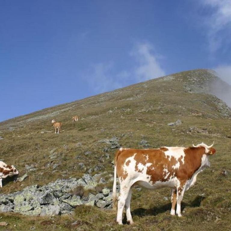 Ferienhaus in Scheifling nahe Skipisten - Ferienhaus mit 3 Schlafzimmern - 19