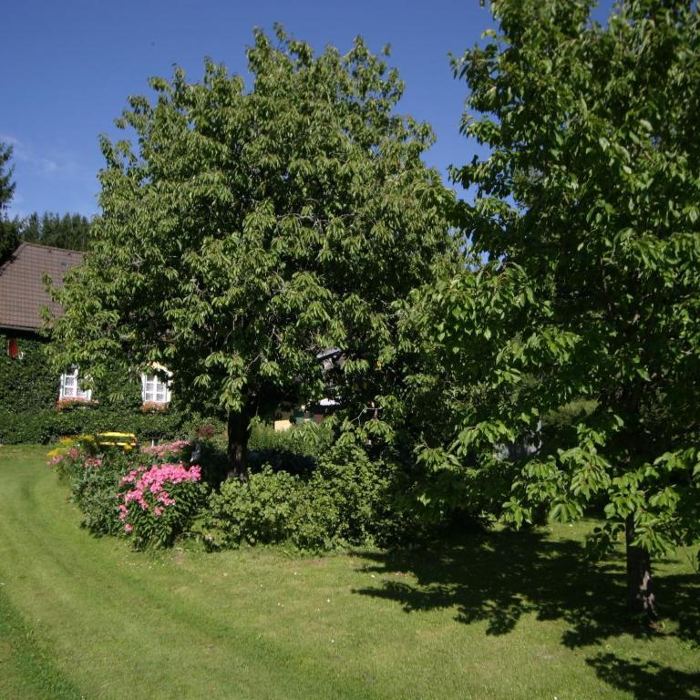Ferienhaus in Scheifling nahe Skipisten - Ferienhaus mit 3 Schlafzimmern - 12